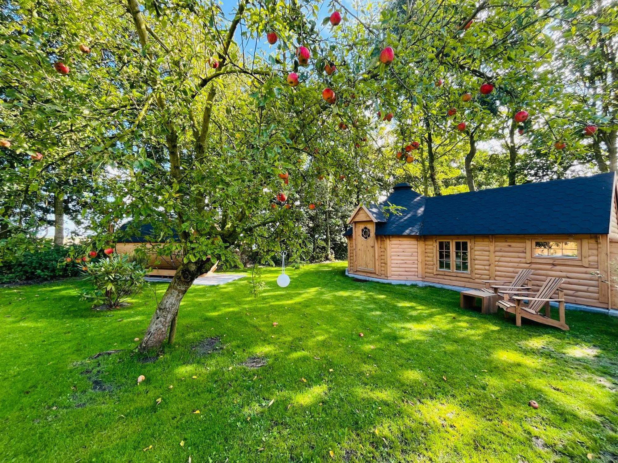 Bed & Breakfast Voor De Wind Slootdorp المظهر الخارجي الصورة
